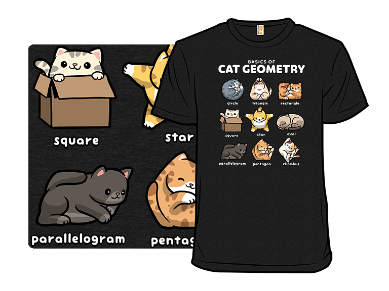 Cat Geometry