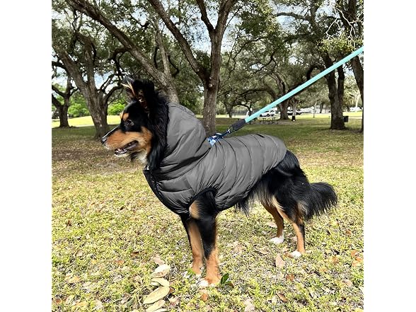 Pawtitas Reversible Windproof Dog Jacket | W