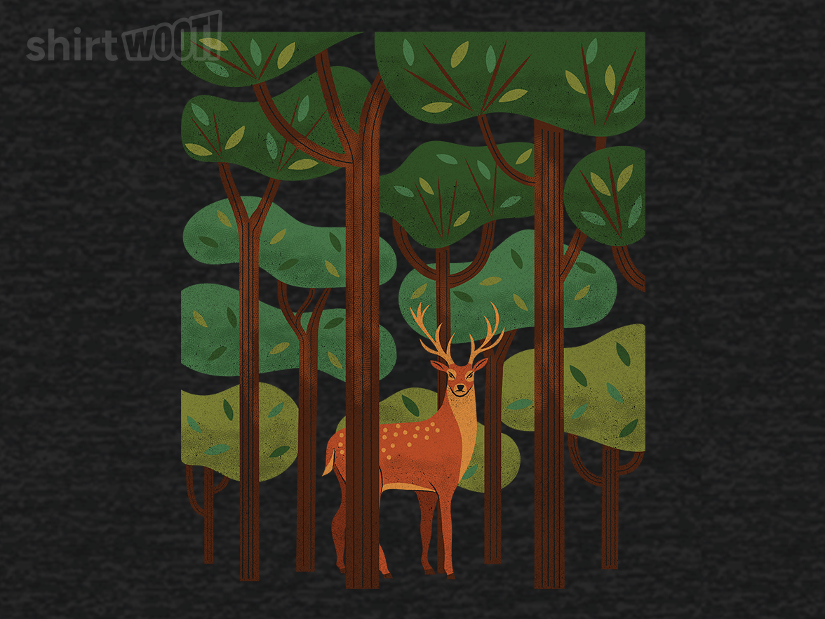Deer in the Forest - Gallery 9