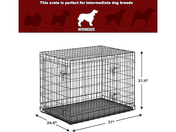 MidWest Homes for Pets Heavy-Duty 36-Inch Dog Crate