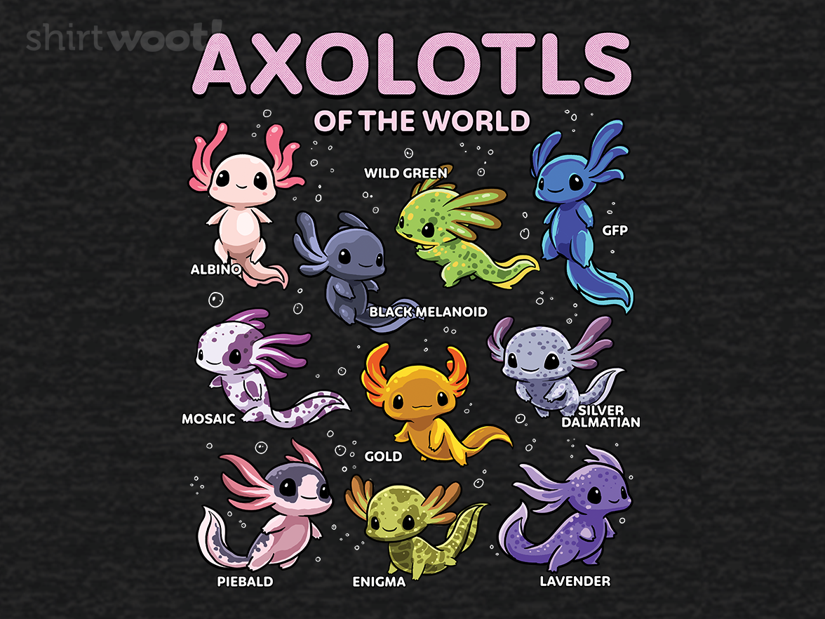 World of Axolotls - Gallery 9