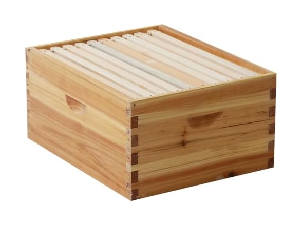 Walsport 10-Frame Langstroth Bee Hive