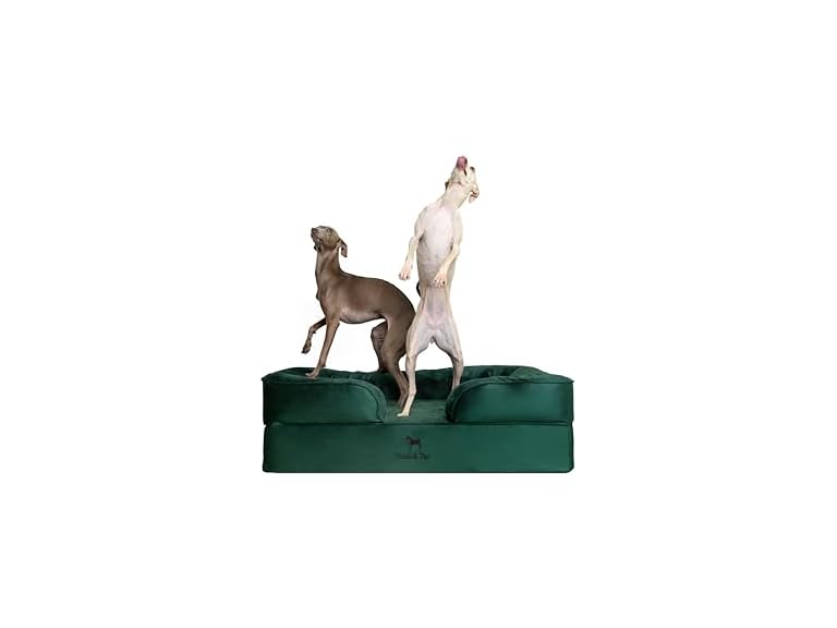 NOAH & PAW SO-VE-DGR-L L NOAH & PAW Dog Bed - Sofa Da