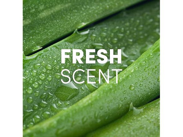 Clean Revolution Hand Sanitizer Gel