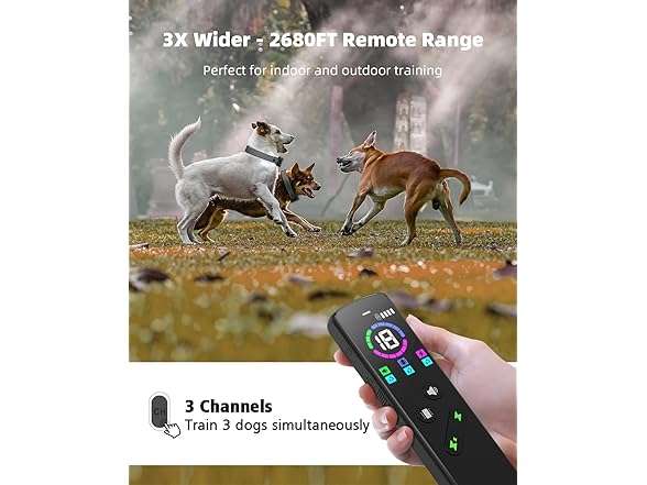 RUNLANE Dog Training Collar with Remote