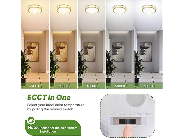 10 Inch LED Flush Mount Ceiling Light, 1Pk