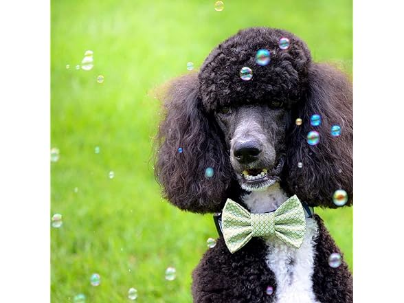 Pet Qwerks Incredibubbles - Peach