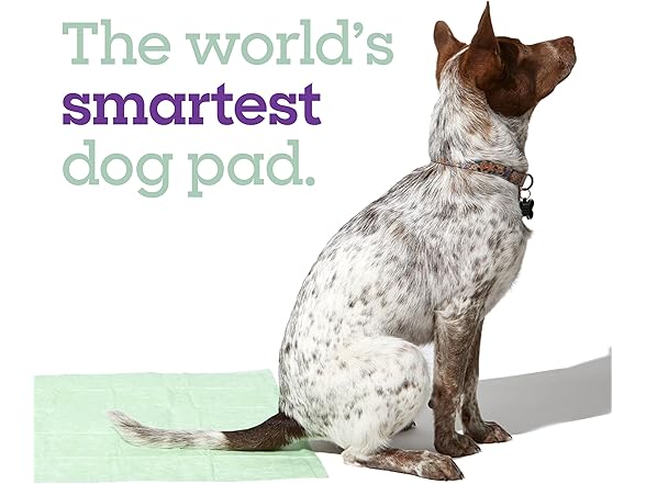 Pet Life Unlimited Health Tracker Pads