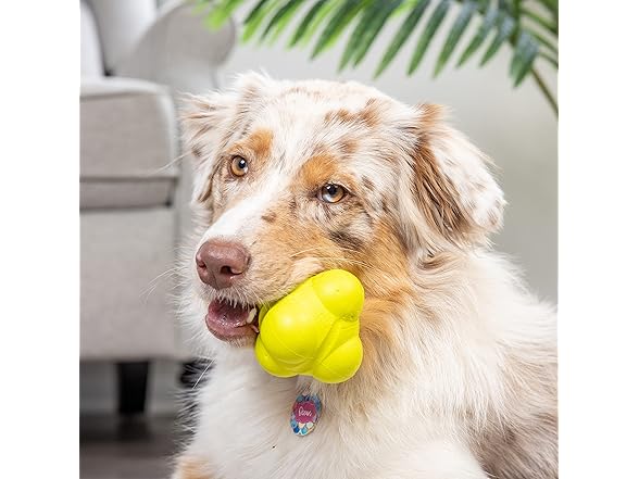 Hyper Pet Throwing Bumpy Ball Dog Toy