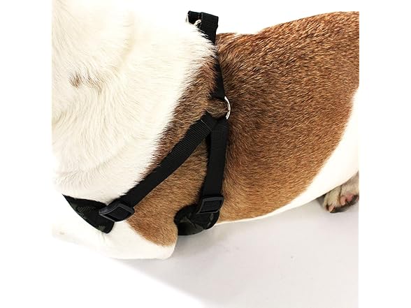 AKC Step-in Camo Dog Harness – No Pull