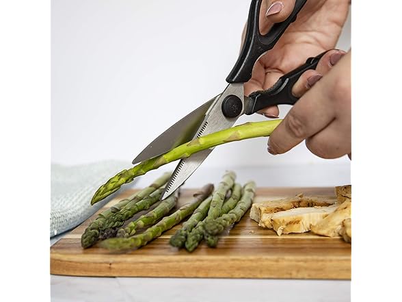 Rae Dunn Kitchen Scissors- Multi 2 Pack)