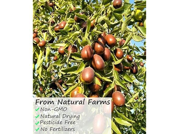 1PK Premium Jujube Red Dates 3LB/1359g