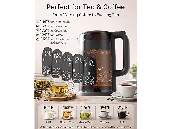 Electric Kettle with Temperature Control