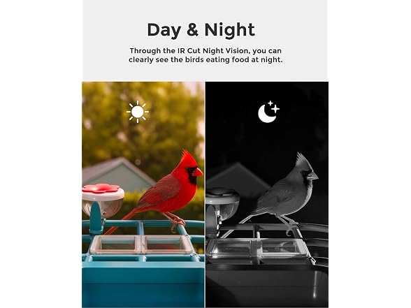 Devo Solar Smart Bird Feeder