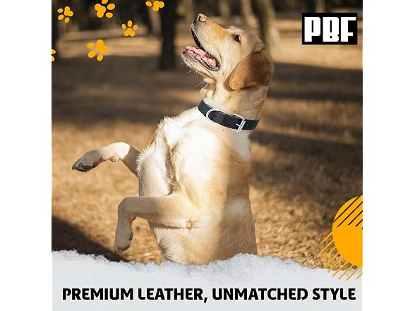 PBF Leather Dog Collar - Genuine Top