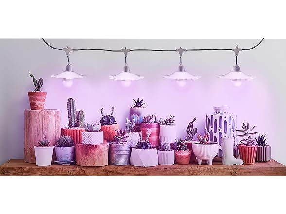 Grow Light 4-Socket White Purple 4KK