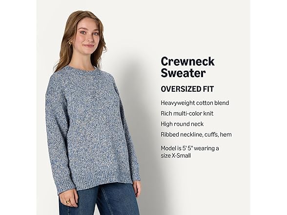 AE Womens Oversized Crewneck