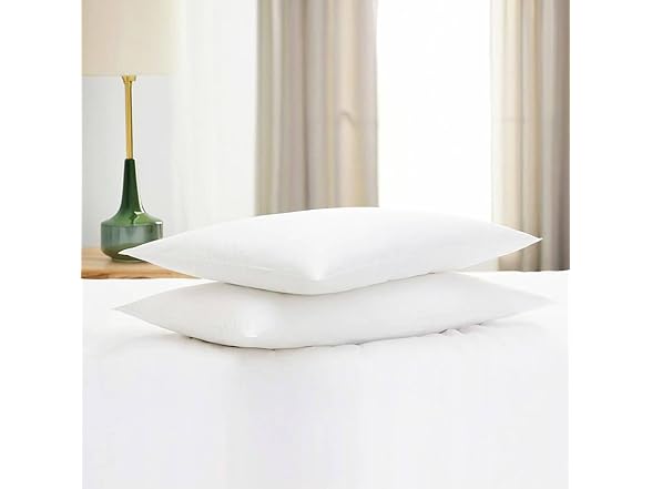 Gooeb Flat Ultra Thin Bed Pillows