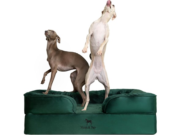 NOAH & PAW Dog/Cat Sofa- Large