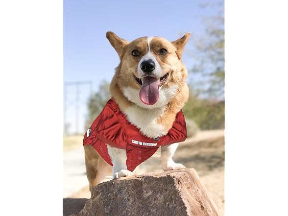 Pets First Pets First NCAA College South Carolina