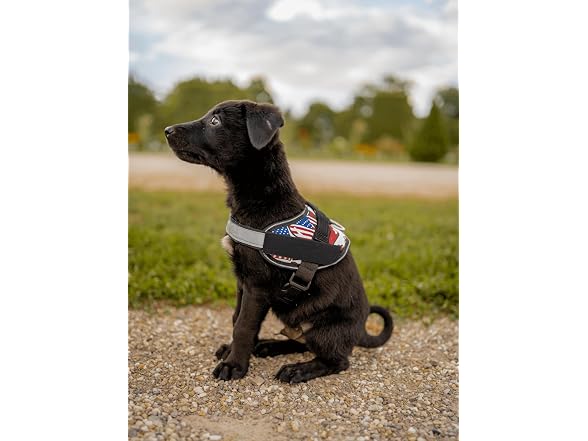 DOGGYKINGDOM No Choke Dog Harness with Handl