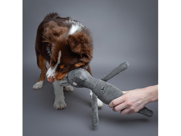 Noah & Paw Luxury dog toy basket set, Collection