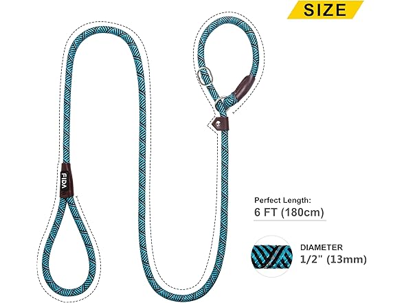 Fida Durable Slip Lead Dog Leash, 6 FT