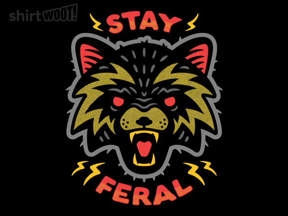 Stay Feral - Raccoon - Gallery 2
