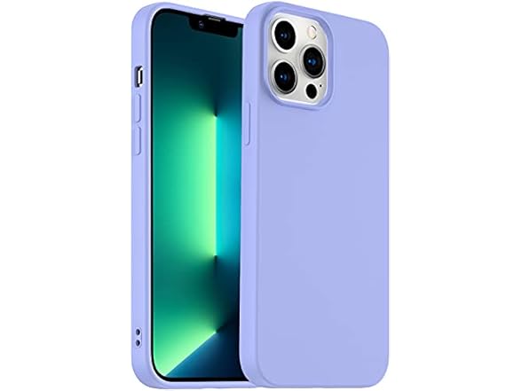 iPhone 13 Pro Max Case