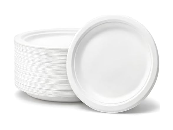 Sugarcane Paper Plates 9" 100ct