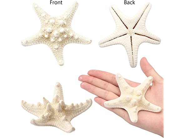 UEIEU 12 PCS Starfish Decor | 2.5-6 Inch
