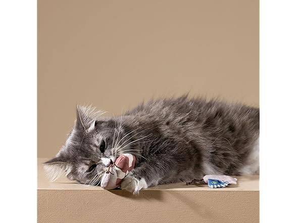 Fringe Studio Catch ME IF You CAN Cat Toy