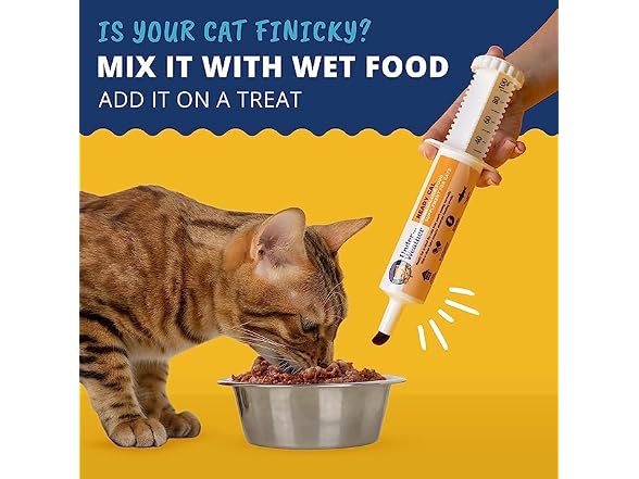 Under The Weather Ready Cal for Cats