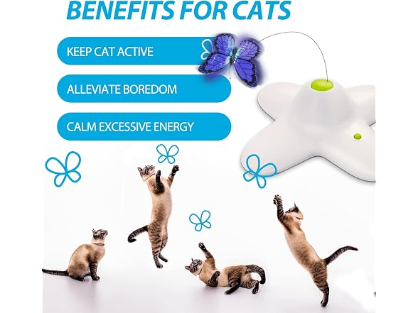 ALL FOR PAWS Interactives Flutter Bug