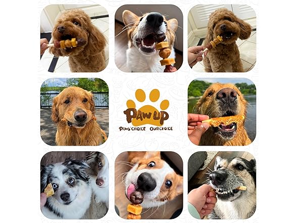 PAWUP Natural Dog Chew