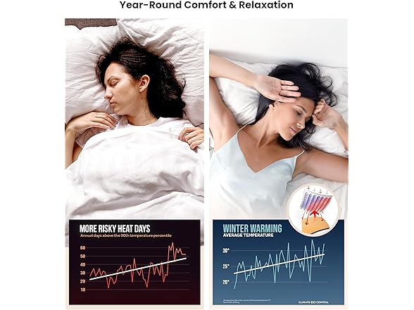 Standard Premium Pillows Set