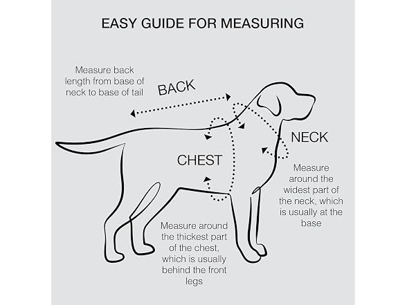 Pet Passion 2-Pack MAX - The Hardy Reflective Collar - Gallery 7