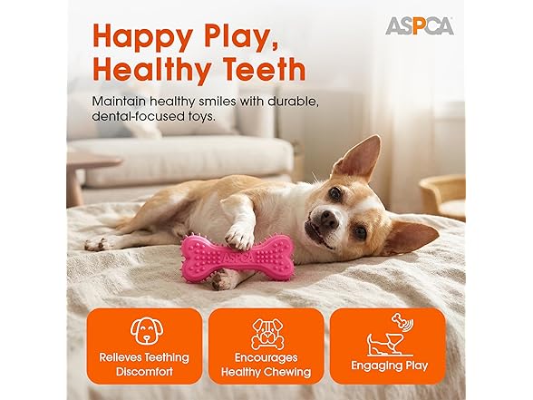 ASPCA 2-Pack Spiky TPR Puppy Teether Bones
