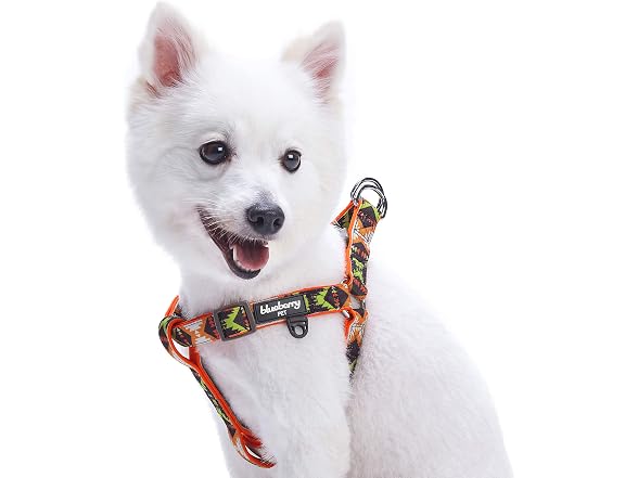 Blueberry Pet 2 Clr Soft & Comfy Step-in Sou