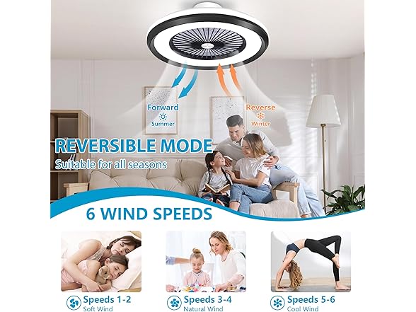 Black Low Profile Ceiling Fan 24" RGB