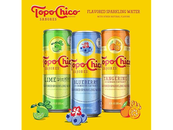 1CT Topo Chico Sabores Lime with Mint Extract 12oz