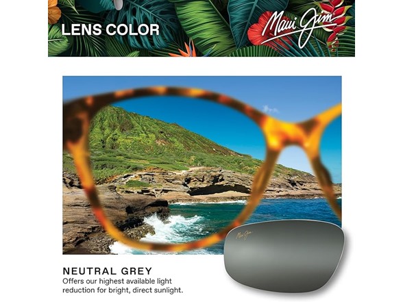 Gloss Black/Neutral Grey Polarized