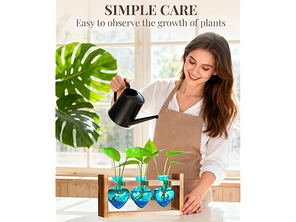 3 Bulb Glass Plant Propagation Station
