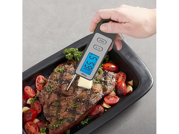 Taylor TruTemp Compact Digital Folding Meat Thermometer