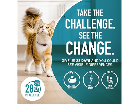 Purina ONE Natural Dry Cat Food, Tender Selects Bl