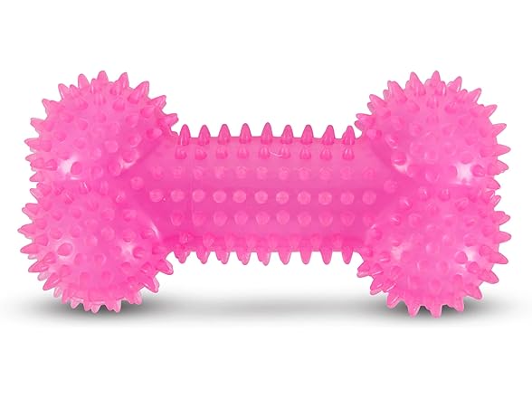 Bow-Wow TPR Spiked Squeaky Dog Toy