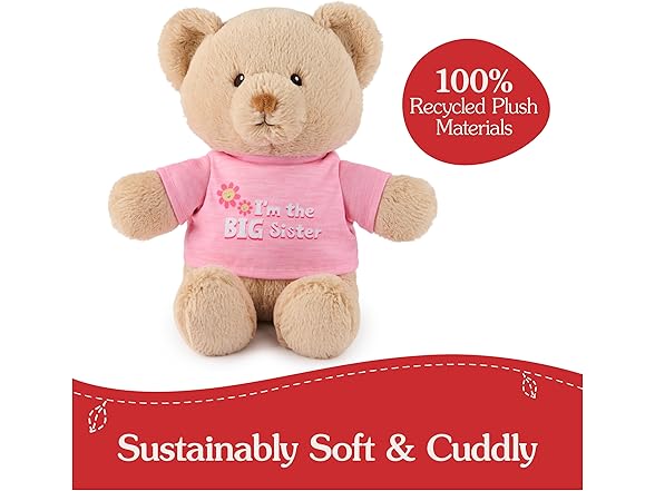 GUND “I'm The Big Sister” Sustainable Bear