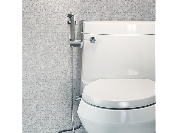 Brondell LES-30 Silver Toilet-Mounted Handheld Bidet