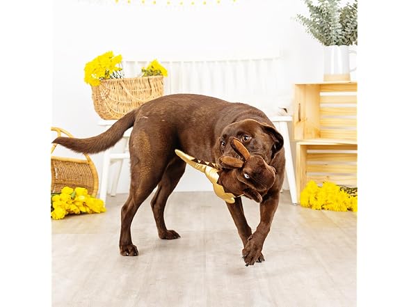 Fringe Studio Plush Dog Toy, Choc-A-Saurus Rex