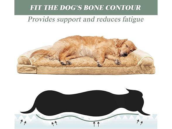 Orthopedic Dog Bed, Extra Large with Memory Foam